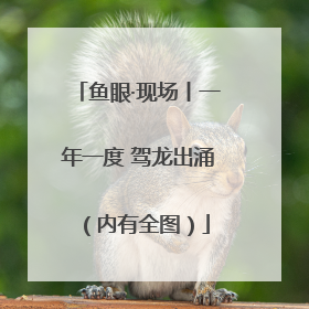 鱼眼·现场丨一年一度 驾龙出涌（内有全图）