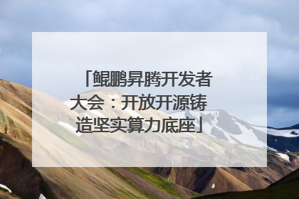鲲鹏昇腾开发者大会：开放开源铸造坚实算力底座