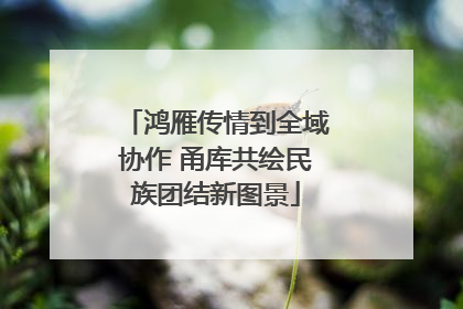 鸿雁传情到全域协作 甬库共绘民族团结新图景