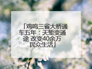 鸡鸣三省大桥通车五年：天堑变通途 改变40余万民众生活