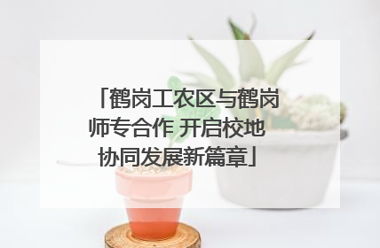 鹤岗工农区与鹤岗师专合作 开启校地协同发展新篇章