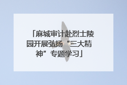 麻城审计赴烈士陵园开展弘扬“三大精神”专题学习