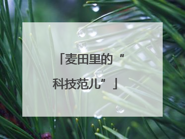 麦田里的“科技范儿”