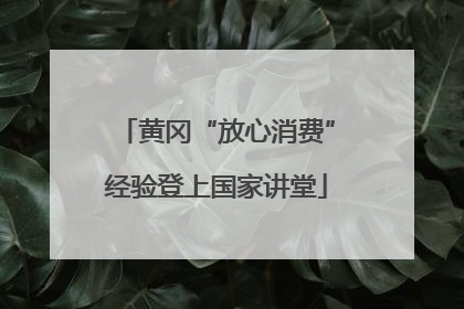 黄冈“放心消费”经验登上国家讲堂