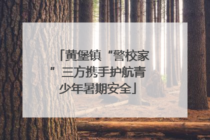 黄堡镇“警校家”三方携手护航青少年暑期安全