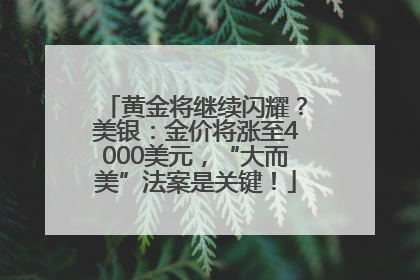 黄金将继续闪耀？美银：金价将涨至4000美元，“大而美”法案是关键！