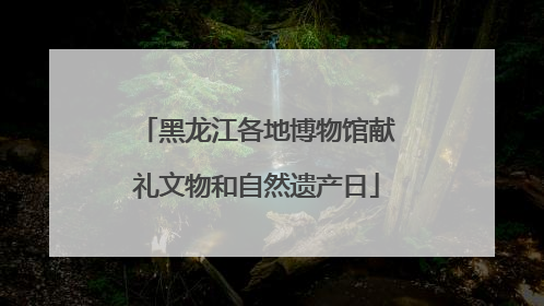 黑龙江各地博物馆献礼文物和自然遗产日