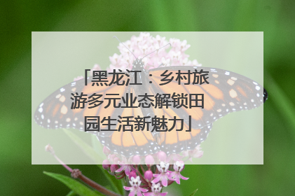 黑龙江：乡村旅游多元业态解锁田园生活新魅力