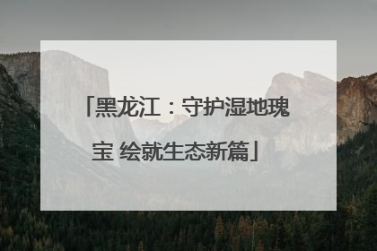黑龙江：守护湿地瑰宝 绘就生态新篇