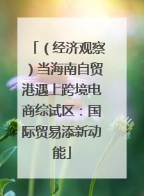 （经济观察）当海南自贸港遇上跨境电商综试区：国际贸易添新动能