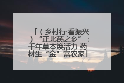 （乡村行·看振兴）“正北芪之乡”：千年草本焕活力 药材生“金”富农家