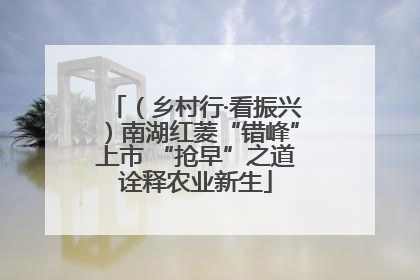 （乡村行·看振兴）南湖红菱“错峰”上市 “抢早”之道诠释农业新生