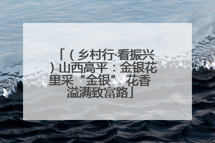 （乡村行·看振兴）山西高平：金银花里采“金银” 花香溢满致富路