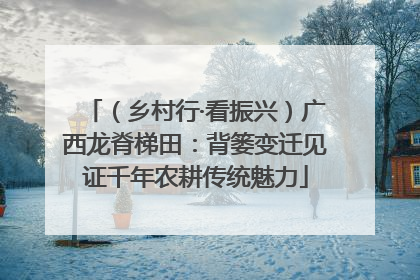 （乡村行·看振兴）广西龙脊梯田：背篓变迁见证千年农耕传统魅力