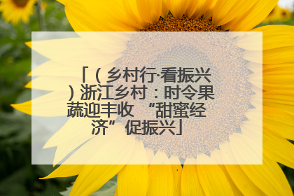 （乡村行·看振兴）浙江乡村：时令果蔬迎丰收 “甜蜜经济”促振兴