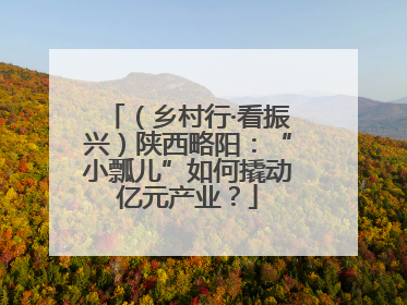 （乡村行·看振兴）陕西略阳：“小瓢儿”如何撬动亿元产业？