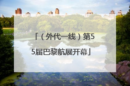 （外代一线）第55届巴黎航展开幕