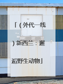 （外代一线）新西兰：邂逅野生动物