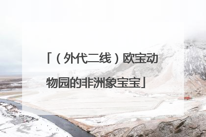 （外代二线）欧宝动物园的非洲象宝宝