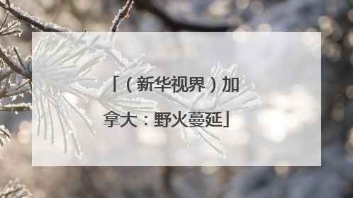 （新华视界）加拿大：野火蔓延
