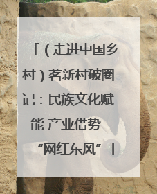 （走进中国乡村）茗新村破圈记：民族文化赋能 产业借势 “网红东风”