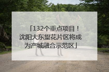 132个重点项目！沈阳大东望花片区将成为产城融合示范区