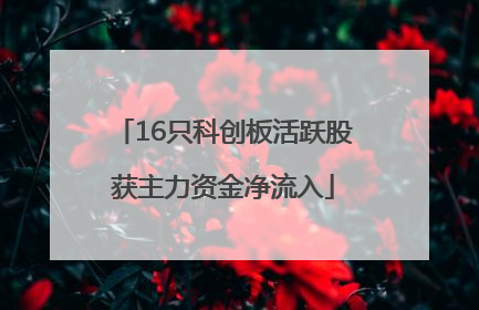16只科创板活跃股获主力资金净流入