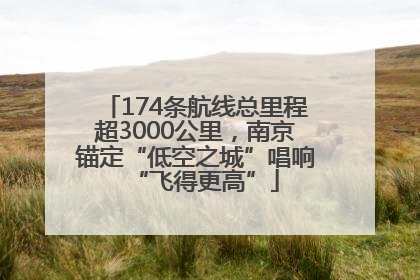 174条航线总里程超3000公里，南京锚定“低空之城”唱响“飞得更高”