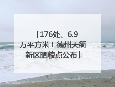 176处、6.9万平方米！德州天衢新区晒粮点公布