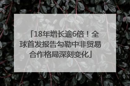 18年增长逾6倍！全球首发报告勾勒中非贸易合作格局深刻变化