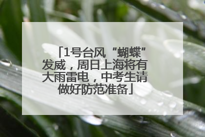 1号台风“蝴蝶”发威，周日上海将有大雨雷电，中考生请做好防范准备