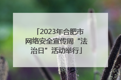 2023年合肥市网络安全宣传周“法治日”活动举行