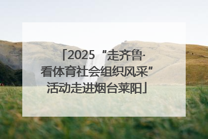 2025“走齐鲁·看体育社会组织风采”活动走进烟台莱阳