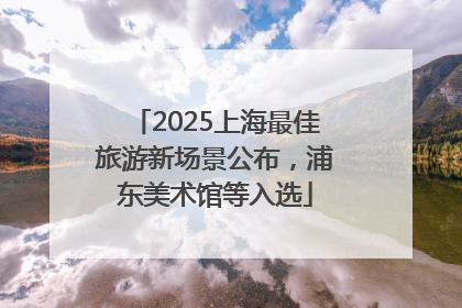 2025上海最佳旅游新场景公布，浦东美术馆等入选