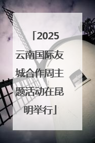 2025云南国际友城合作周主题活动在昆明举行