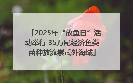 2025年“放鱼日”活动举行 35万尾经济鱼类苗种放流崇武外海域
