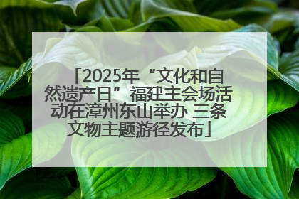 2025年“文化和自然遗产日”福建主会场活动在漳州东山举办 三条文物主题游径发布