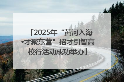 2025年“黄河入海•才聚东营”招才引智高校行活动成功举办