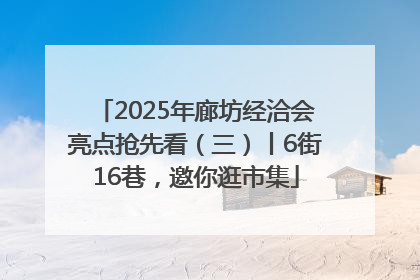 2025年廊坊经洽会亮点抢先看（三）丨6街16巷，邀你逛市集