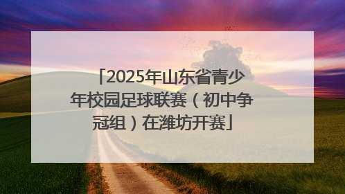 2025年山东省青少年校园足球联赛（初中争冠组）在潍坊开赛
