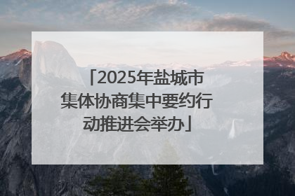 2025年盐城市集体协商集中要约行动推进会举办