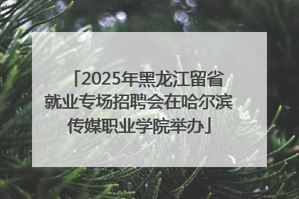 2025年黑龙江留省就业专场招聘会在哈尔滨传媒职业学院举办
