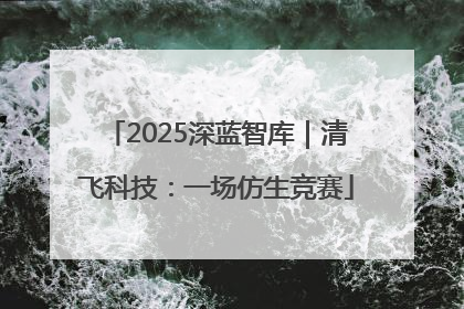 2025深蓝智库｜清飞科技：一场仿生竞赛