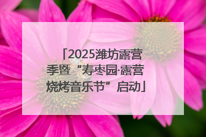 2025潍坊露营季暨“寿枣园·露营烧烤音乐节”启动