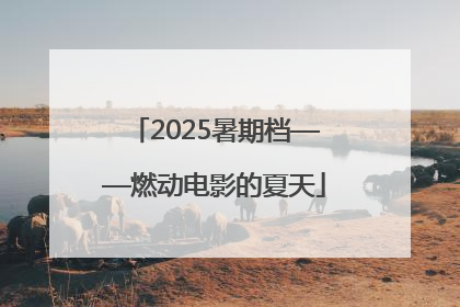 2025暑期档——燃动电影的夏天