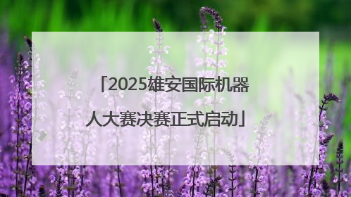 2025雄安国际机器人大赛决赛正式启动