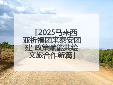2025马来西亚祈福团来泰安团建 政策赋能共绘文旅合作新篇