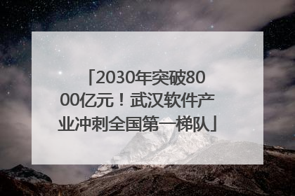 2030年突破8000亿元！武汉软件产业冲刺全国第一梯队