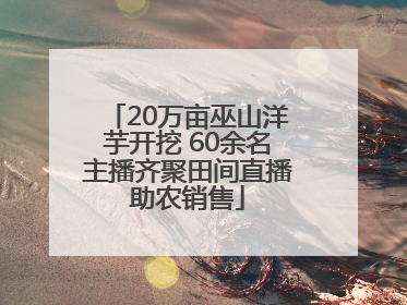 20万亩巫山洋芋开挖 60余名主播齐聚田间直播助农销售