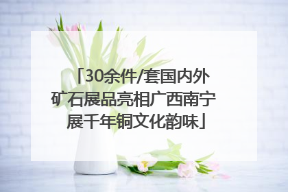 30余件/套国内外矿石展品亮相广西南宁 展千年铜文化韵味